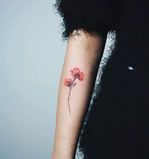Tattoo tagged with: nando, women, feminine, forearm, , flower,  arm, poppy, girl 