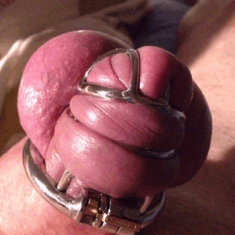 londonkink-100:
“Mistress has her cock locked up tight. Straining and twitching inside the very small cage.
”