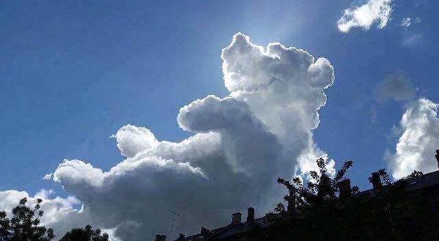 the-smiling-wolf:
“ Happy bear cloud 😊🐺💖
”