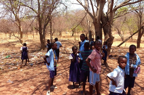 ZAMBIA: La vuelta al Sur de África en 80 días (5) - Blogs de Zambia - LUSAKA: Backpacker (5)