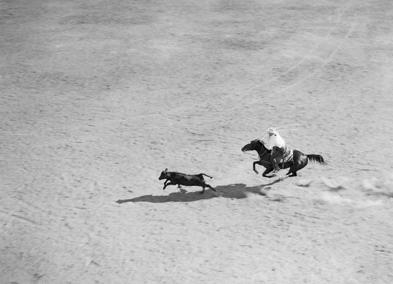 What happens next? “Calf Roping at Rodeo” June 14, 1939, San Francisco, CA. Bettmann/CORBIS, BE027752