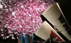 Image result for exploding confetti cannon   gif