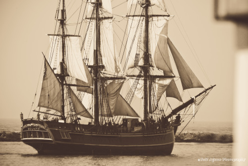jeffadamsphoto:
“HMS Bounty, photo taken about two years ago, she was lost during Hurricane Sandy off the coast of North Carolina
”