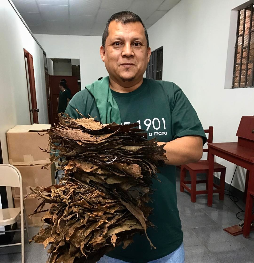 Another beautiful day at Tabacalera G.Kafie y Cia. with a blessed team. Here a “bunchero” is collecting his tobacco for his morning work. #kafie1901cigars (at Danli, La Ciudad De Las Colinas)