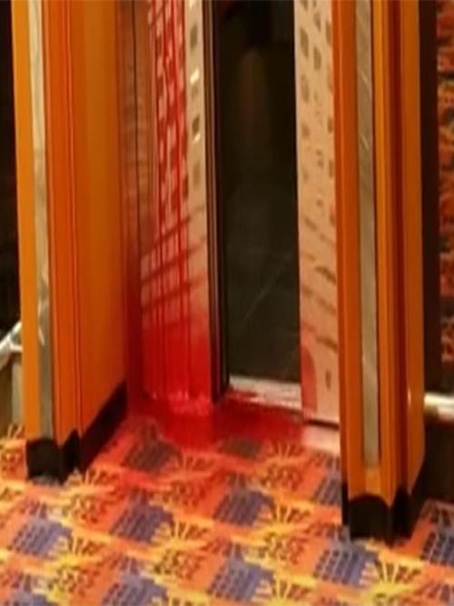 While this photo may look like a scene from a horror movie, it’s 100% real. Guests aboard the Carnival Ecstasy cruise ship were horrified to discover blood oozing from an elevator on 27 December, 2015. 66-year-old electrician, Sandoval Opazo, was...