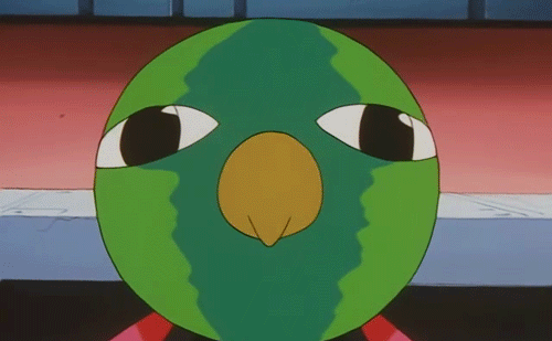 Image result for xatu gif