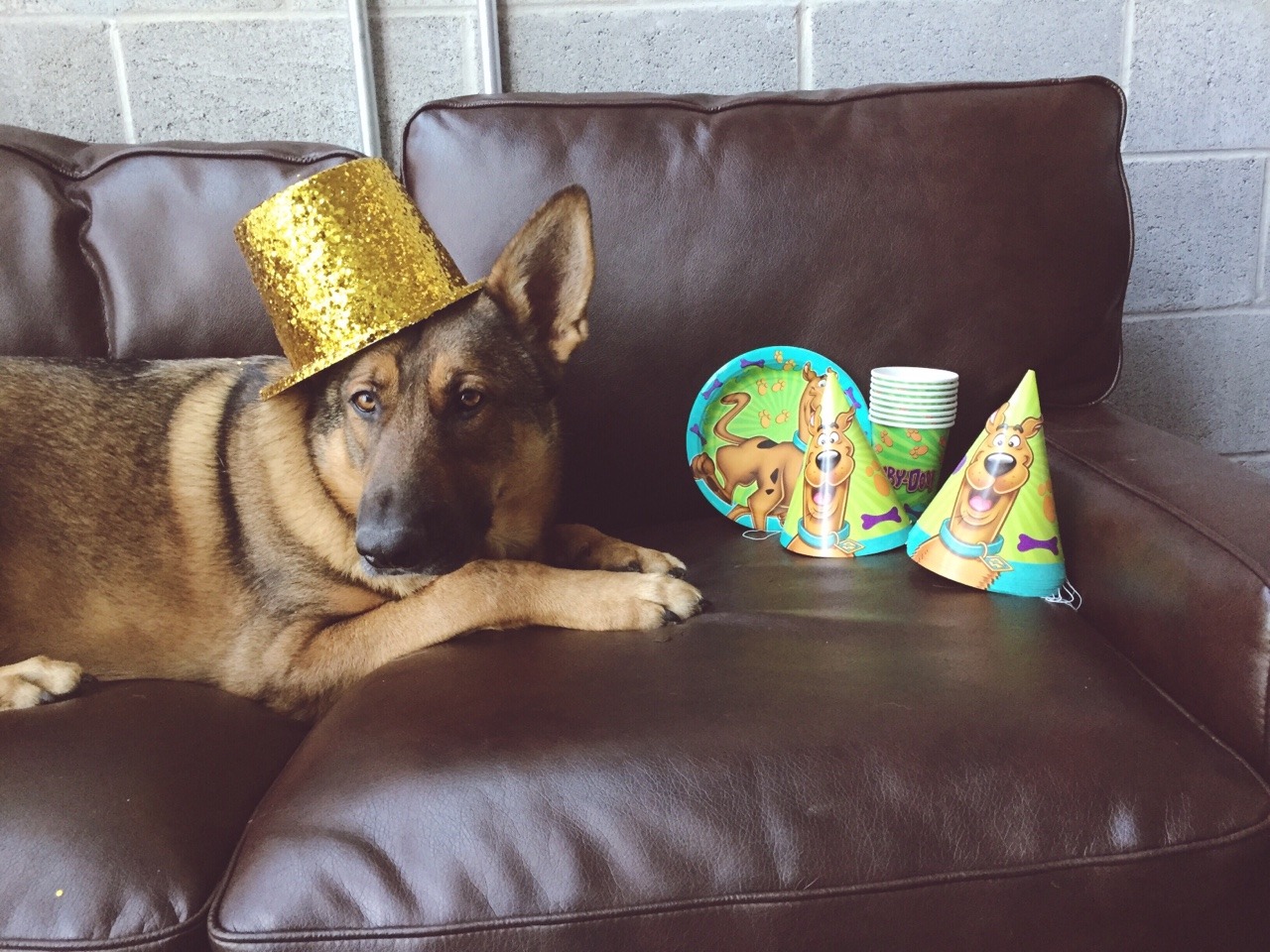 Scooby Doo themed birthday party for his third birthday today!