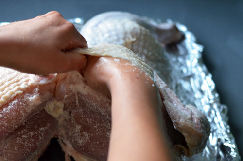 A hand reaching under the turkey skin to rub salt on the meat.