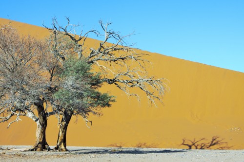 SOSSUSVEI: Una de arena - NAMIBIA: La vuelta al Sur de África en 80 días (2) (6)