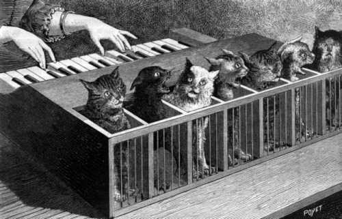 The katzenklavier (“cat piano”) was a musical instrument made out of cats. Designed by 17th-century German scholar Athanasius Kircher, it consisted of a row of caged cats with different voice pitches, who could be “played” by a keyboardist driving...