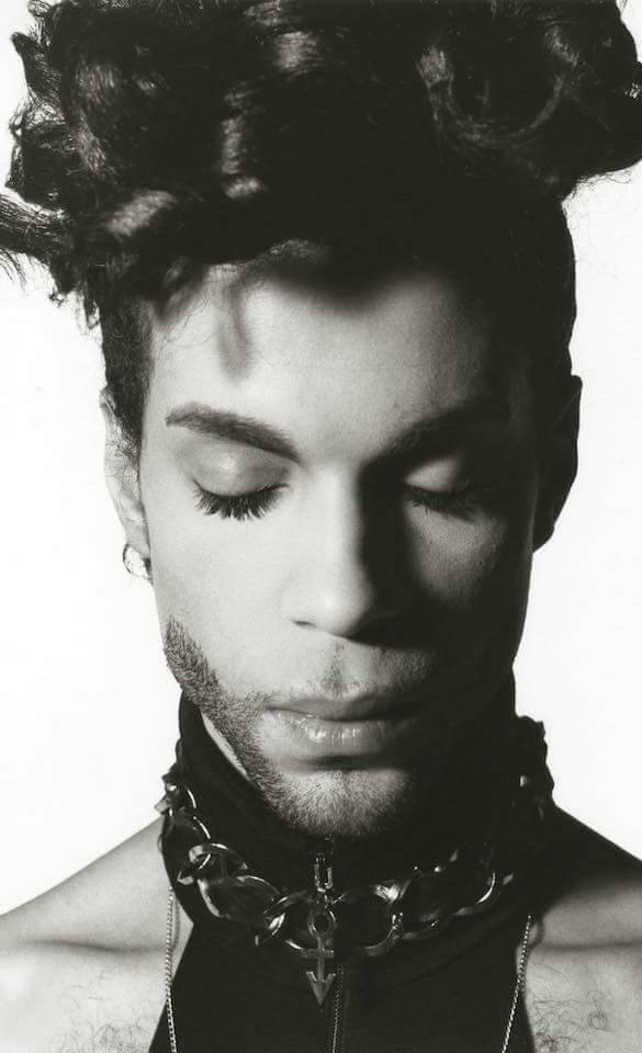 thepurplemancunian: ““I often dream of heaven and i know that Tracy’s there. I know that he has found another friend” -prince 💔 ”