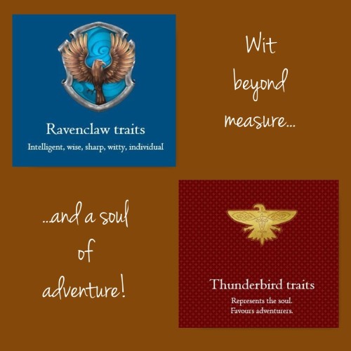 Image result for ravenclaw thunderbird