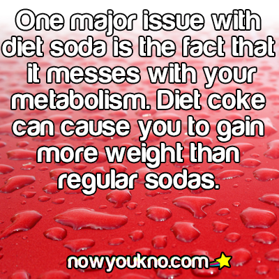 What are the long-term effects of drinking diet soda?