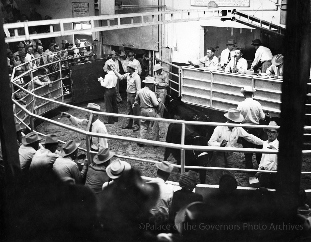clovis livestock auction new mexico