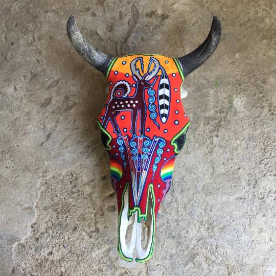 Bull skull, Sayulita, Mexico