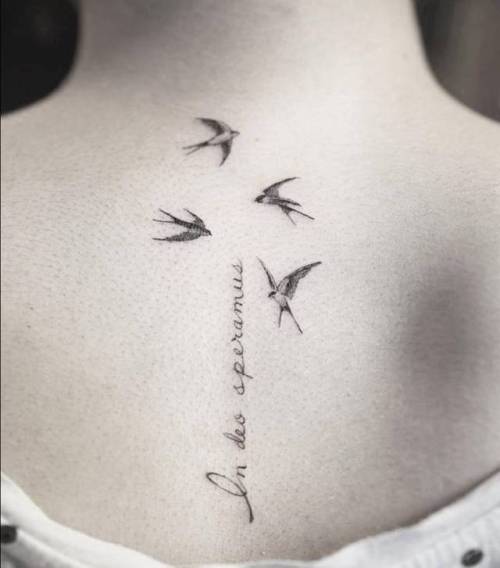 Tattoo tagged with: small, latin, swallow, tiny, bird, travel, ifttt,  little, upper back, latin tattoo quotes, medium size, quotes, in deo  speramus, fine line, nando, nautical, languages, animal 