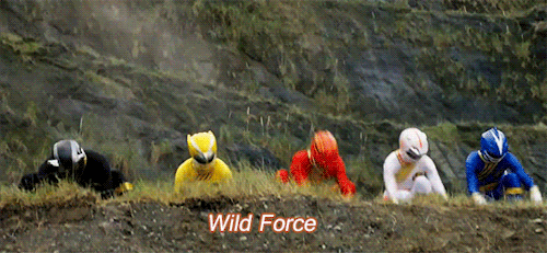 Wild Force