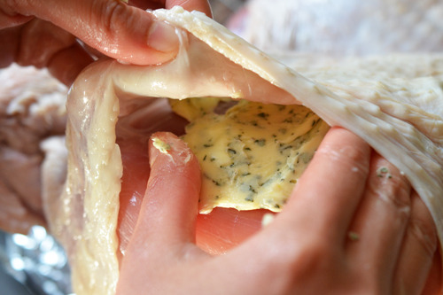 The herb butter is flattened all over the breast meat of the turkey, under the skin.