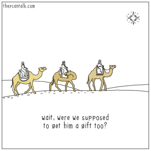 theycantalk:
“three wise camels
”