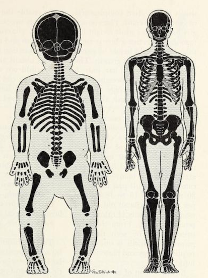 glumshoe:
“ nemfrog:
“A baby and an adult compared as if they were the same size.  Using Modern Science. 1951.
”
Thanks! I hate it.
”