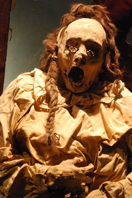 graceful-putrefaction:
“Museo de las Momias (The Museum of the Mummies) in Guanajuato
”