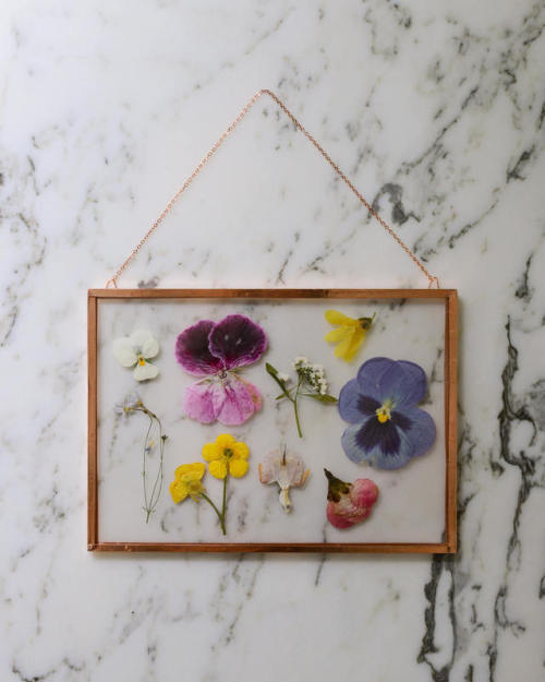 Pressed Flower Art and Botanical Coasters by Karly Murphy on... tumblr orz8bnLby21qas1mto1 500