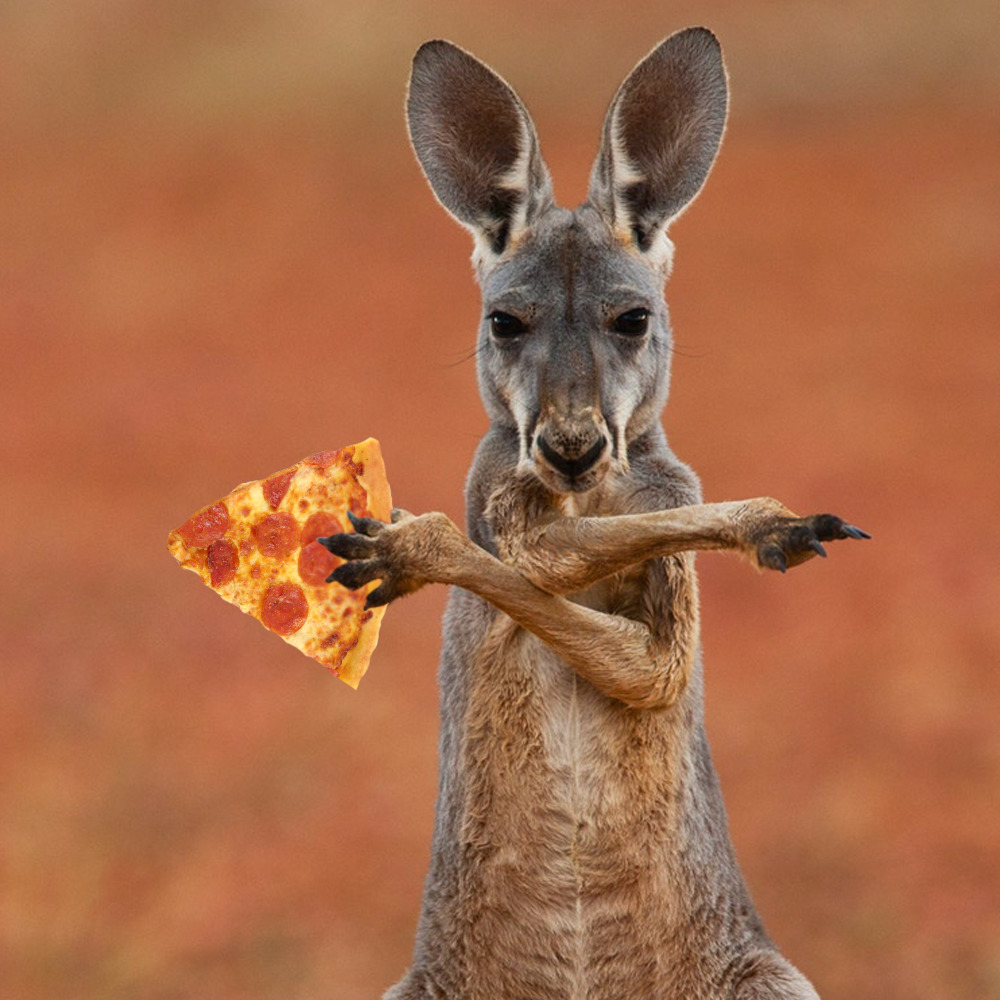 What kinds of animals eat kangaroos?