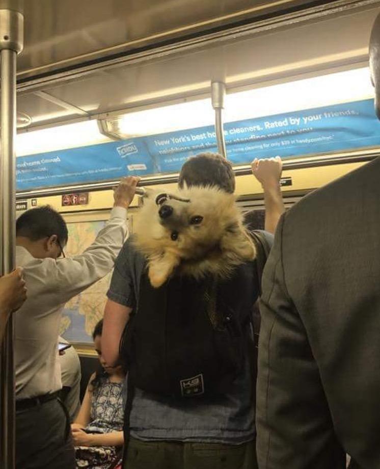 Saying hey from the NYC Subway (Source: http://ift.tt/2v3kBbR)