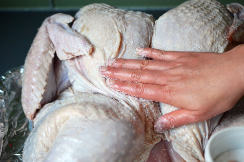 Someone using their hands to rub salt on the surface of a spatchcock turkey.