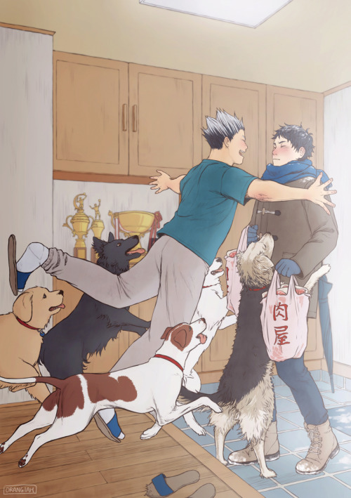 orangiah: “ finally posting my full piece for the @haikyuupetszine!! a nice big welcome home (with a cameo from my dog, truffle) (but are they more excited about akaashi or the butcher shop bags he’s holding…) ”