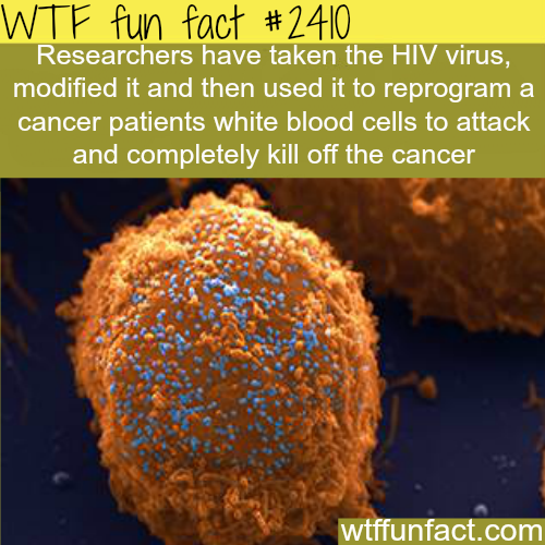What are important facts on HIV?