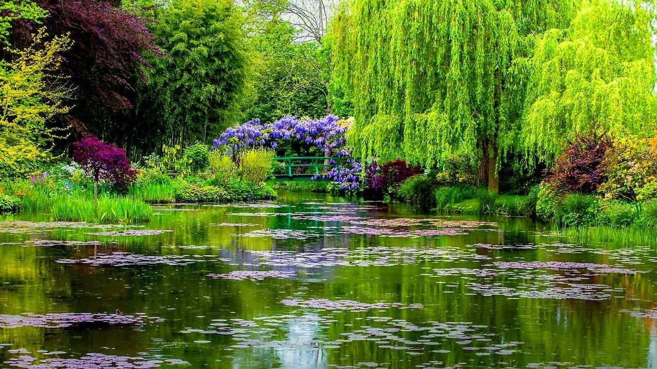livesunique:
“Claude Monet’s Garden, Giverny, France
”