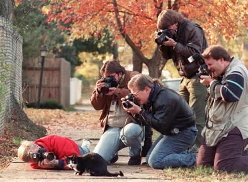 brainstatic:
“ isabubbles:
“ Socks, Bill Clinton’s pet cat, being hounded by the paparazzi
”
And you’re telling me the 90s isn’t a hoax.
”