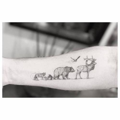 Tattoo tagged with: small, doctor woo, bear, animal, tiny, bird, barn owl,  little, wolf, inner forearm, medium size, fine line, elk 