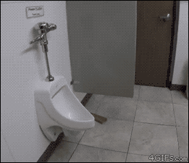 Jumpy is pleased with himself after learning to use the bathroom. [video]
