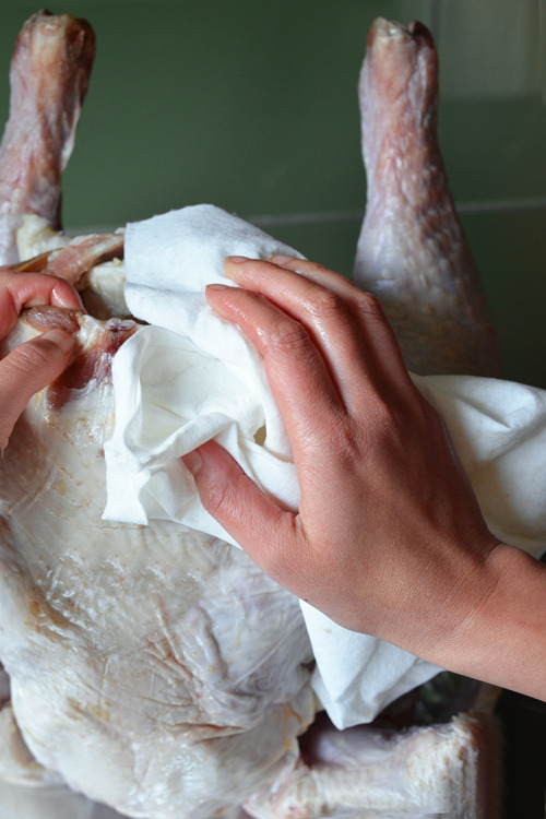 Using paper towels to pat try a raw turkey.