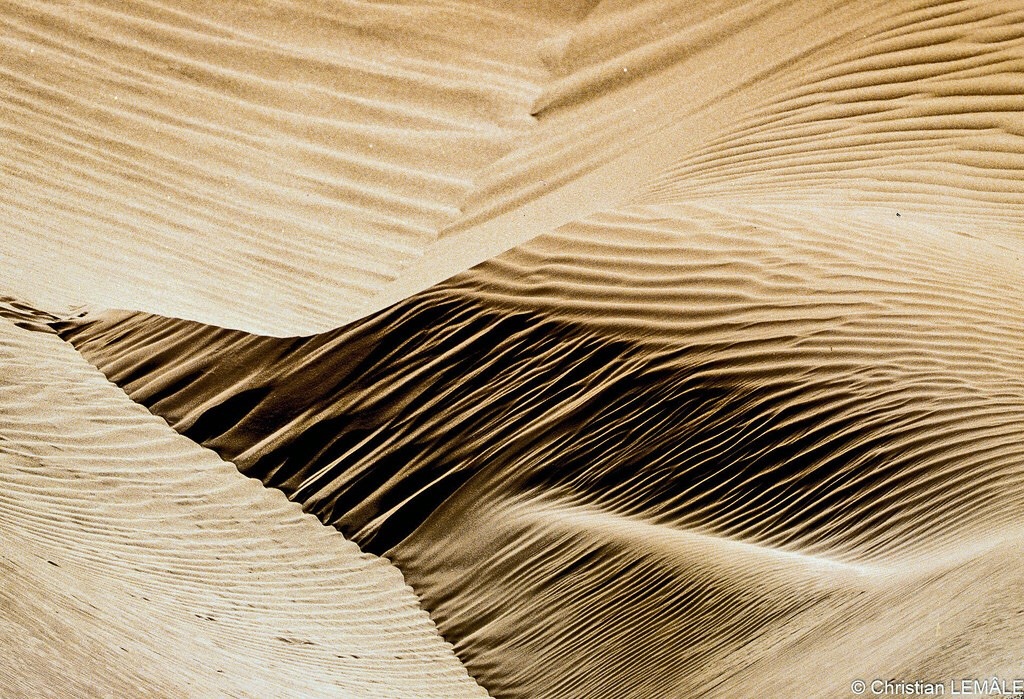 thevintagearab:
“Dune dans son drapé hiératique / Dune in its hieratic drape - Saoura - Sahara - Algérie
”