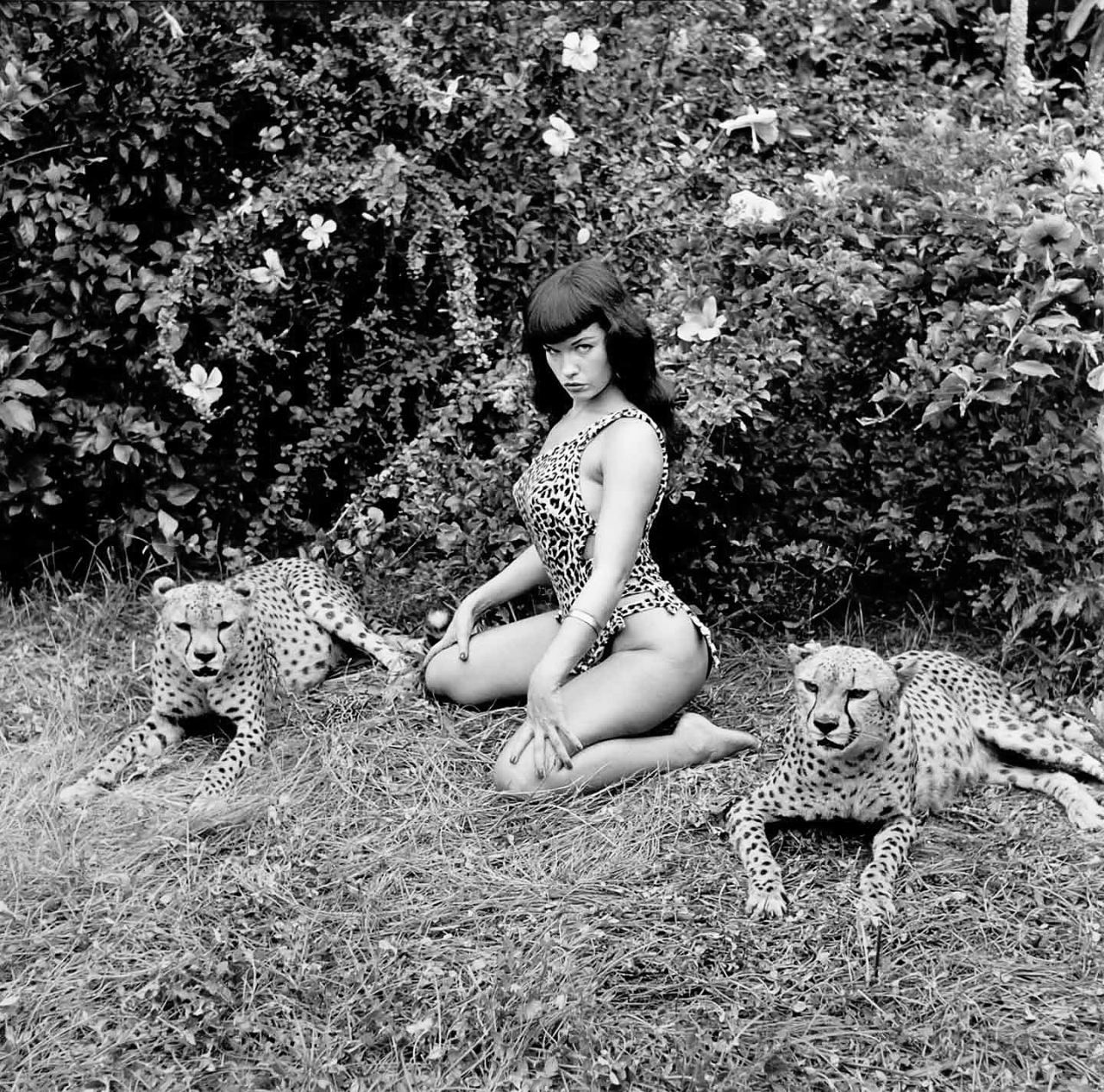coitus-infinitus:
““Betttie Page with cheetahs - cat pose, 1954” ”