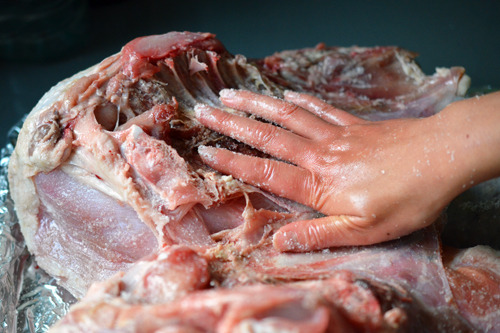 A hand rubbing salt over the interior of a spatchcock turkey.