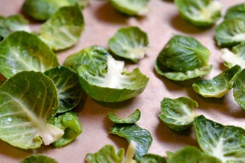 Brussels sprout leaves on a parchment lined tray.