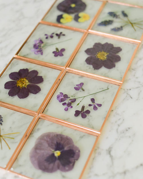 Pressed Flower Art and Botanical Coasters by Karly Murphy on... tumblr orz8bnLby21qas1mto8 500