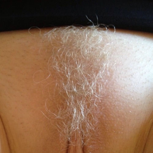 Blonde Pubic Hair Pictures