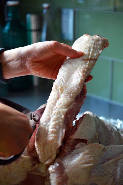 Completely cutting out the backbone from a raw turkey and removing it.