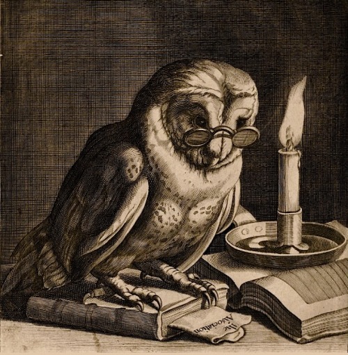 Magictransistor: "James Collins, depois de Cornelis Bloemaert (1625);  Coruja que desgasta os espetáculos da leitura pela luz de vela (woodcut), Inglaterra, cerca de 1685. "