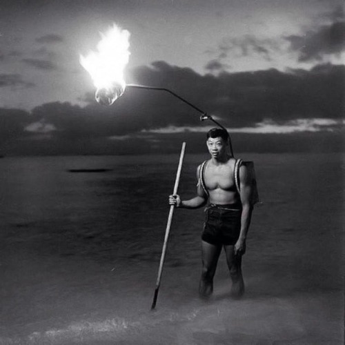 sixpenceee:
“Night fishing in Hawaii, 1948. Night spear fishing inside the reef was done by the light of kukui-nut torches as the bright light attracted fish in shallow waters. (Source)
”