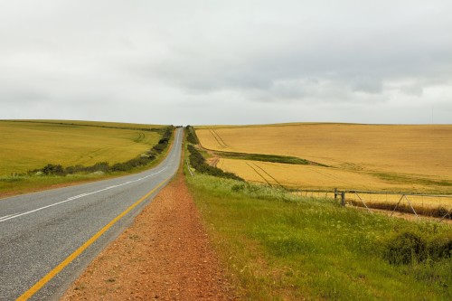NAMAQUALAND: Camino infinito hacia Namibia - SUDAFRICA: La vuelta al Sur de África en 80 días (1) (1)