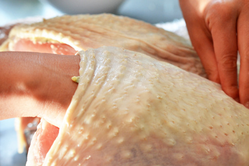Someone using their hands to rub the herb butter under the turkey skin.