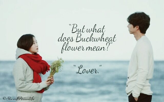 Eun tak: “Apa makna dari bunga soba?”
Kim shin: “kekasih.”
.
#goblin #dokkaebi #koreandrama #gongyoo #goeun