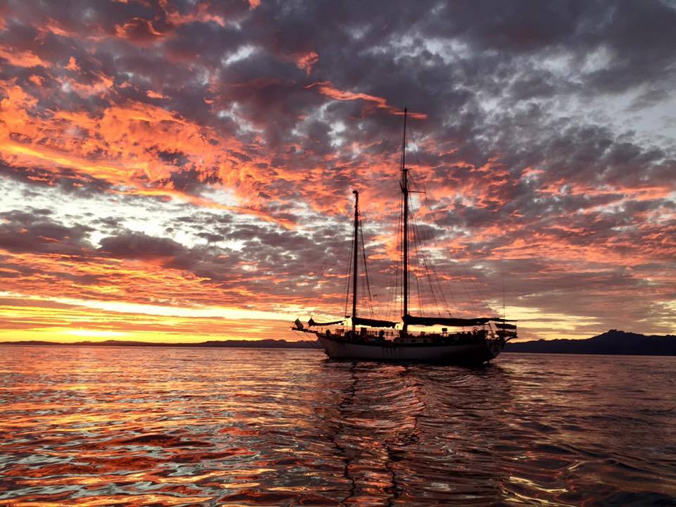 schooner-sjostrom:
“most incredible sunset from 12/10/16 in savusavu fiji
”