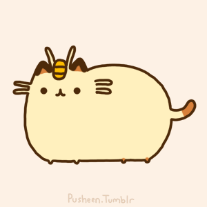 Image result for pusheen the cat moving pictures